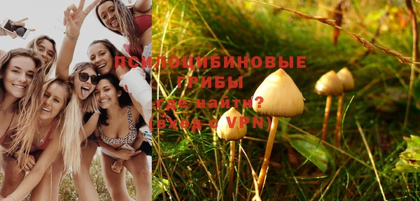 соль курить ск Аркадак