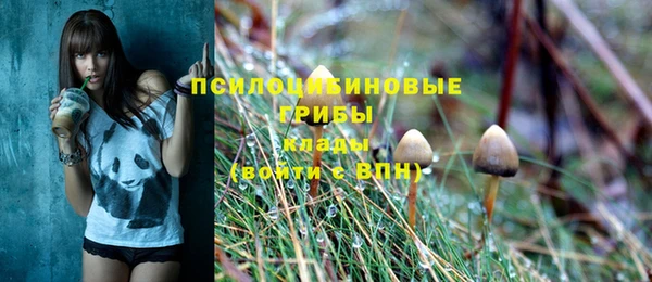 соль курить ск Аркадак