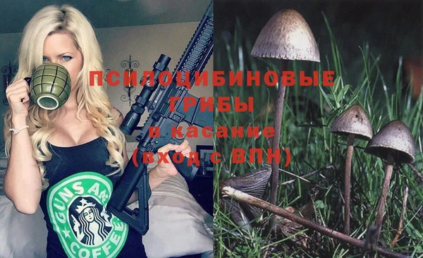 соль курить ск Аркадак