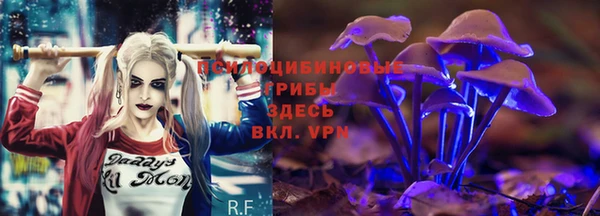 ПСИЛОЦИБИНОВЫЕ ГРИБЫ Армянск